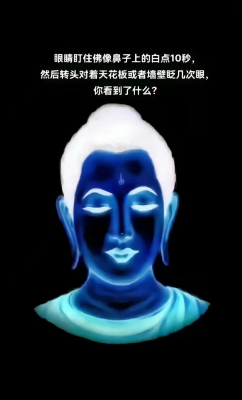 飞什么走什么